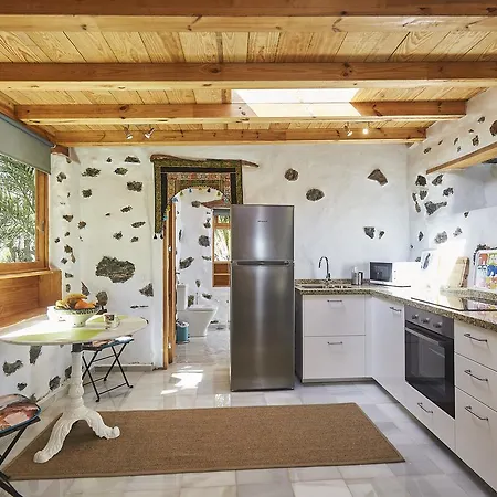 Palmeras Canarias Uga