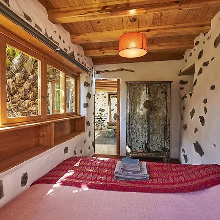 Palmeras Canarias Casa rural Uga
