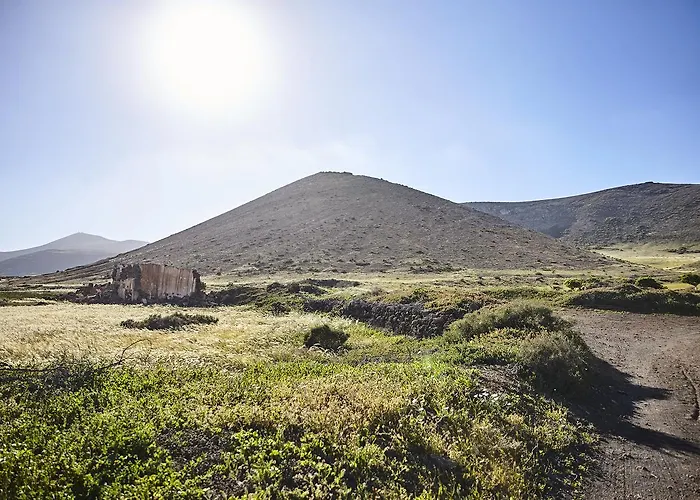 Palmeras Canarias Casa rural Uga