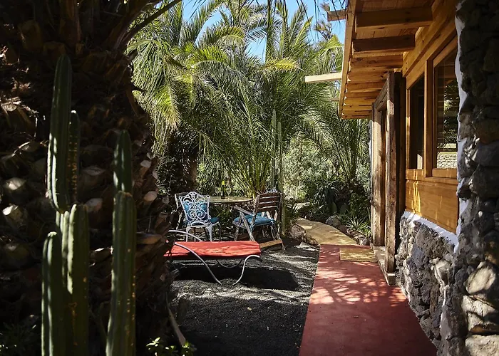 Palmeras Canarias