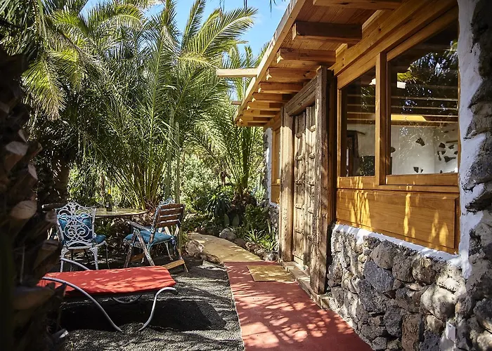 Palmeras Canarias Casa rural Uga