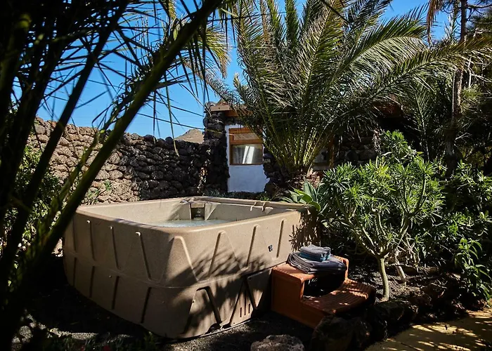Palmeras Canarias Casa rural Uga