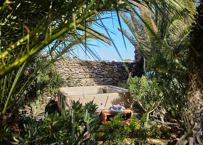 Palmeras Canarias Casa rural Uga