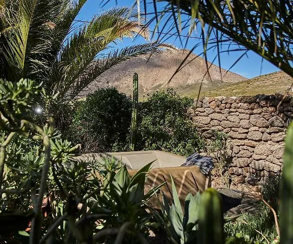 Palmeras Canarias Casa rural