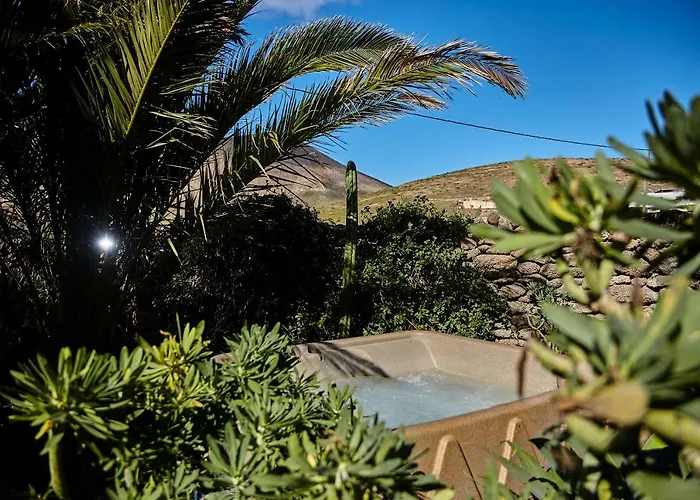 Palmeras Canarias Casa rural Uga