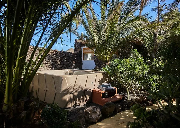 Palmeras Canarias *