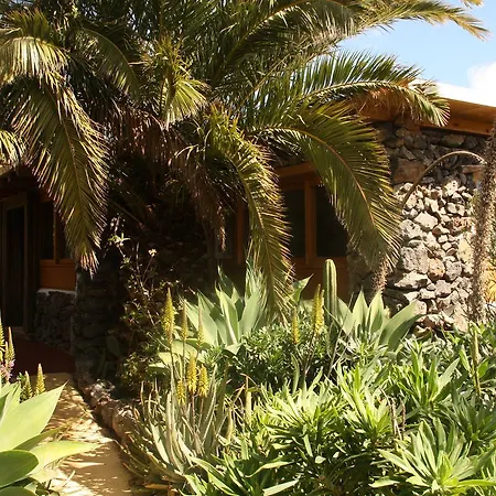 Palmeras Canarias Uga