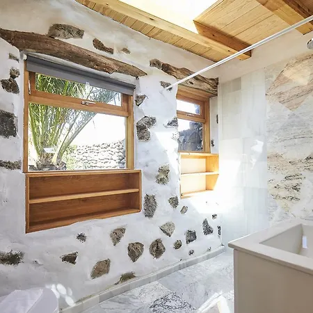 Palmeras Canarias Uga