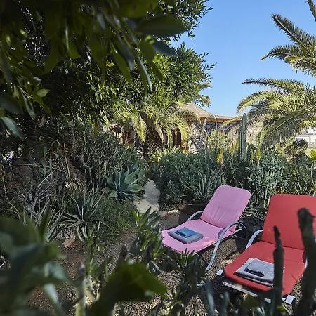 Country house Palmeras Canarias *