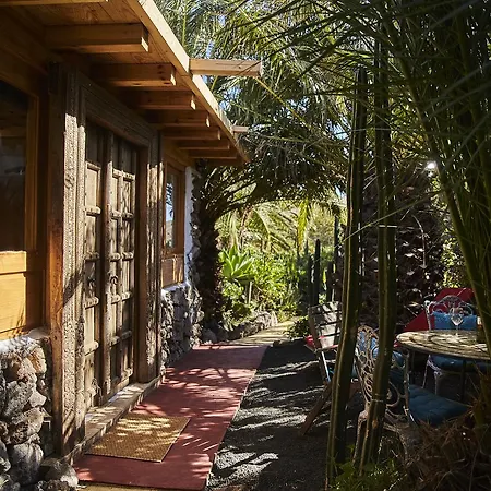 Palmeras Canarias *