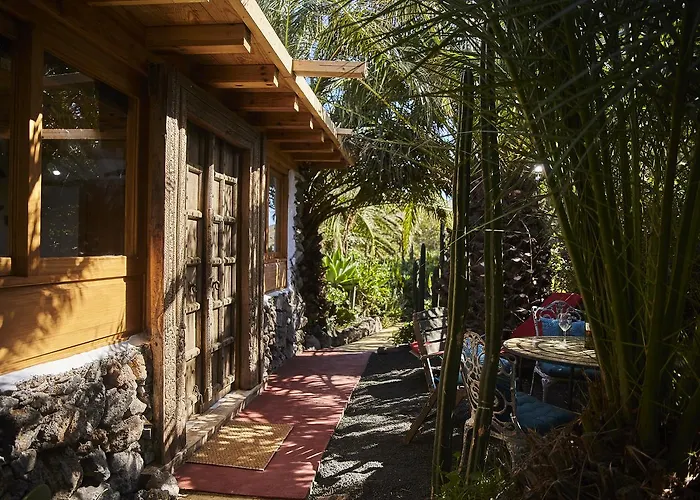 Palmeras Canarias *
