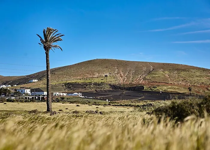 Kır Evi Palmeras Canarias