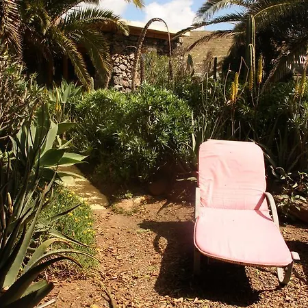 Casa de Campo Palmeras Canarias *
