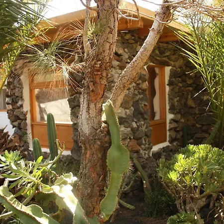 Palmeras Canarias Casa de Campo Uga