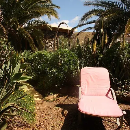 Casa de Campo Palmeras Canarias Uga