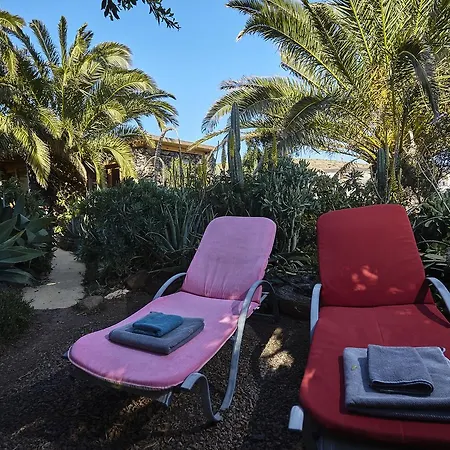 Casa de Campo Palmeras Canarias *