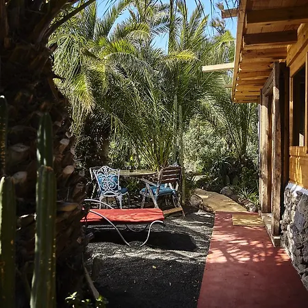 Palmeras Canarias