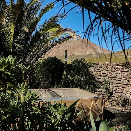 Casa de Campo Palmeras Canarias Uga
