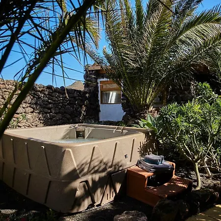 Palmeras Canarias Casa de Campo Uga