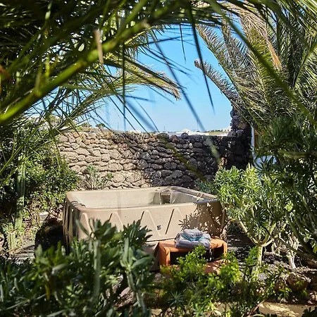 Palmeras Canarias Casa de Campo Uga