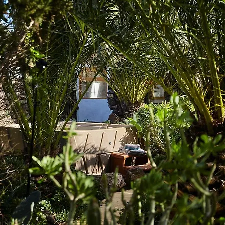 Casa de Campo Palmeras Canarias *