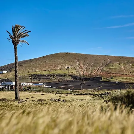 Casa de Campo Palmeras Canarias
