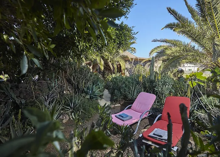 Casa de Campo Palmeras Canarias *