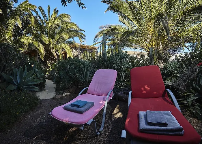 Casa de Campo Palmeras Canarias *