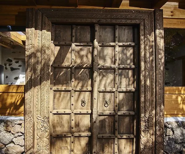 Palmeras Canarias Casa de Campo