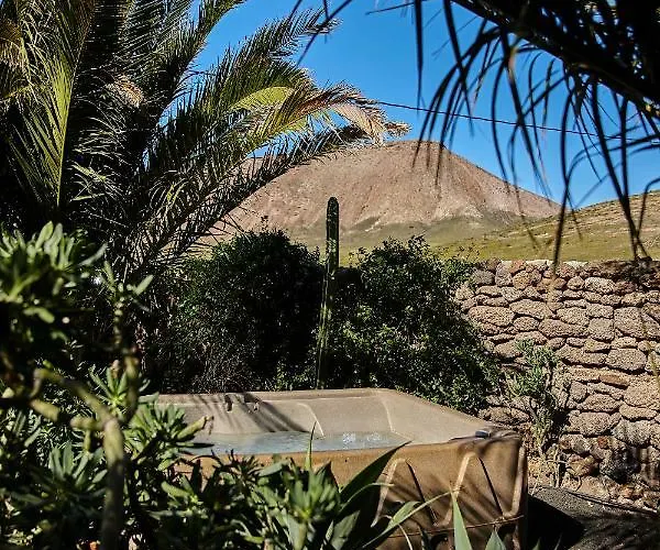 Casa de Campo Palmeras Canarias Uga