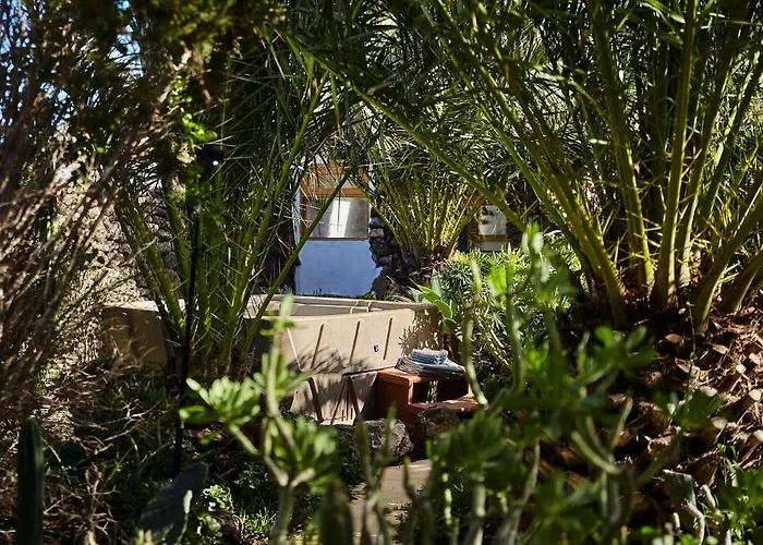 Casa de Campo Palmeras Canarias *